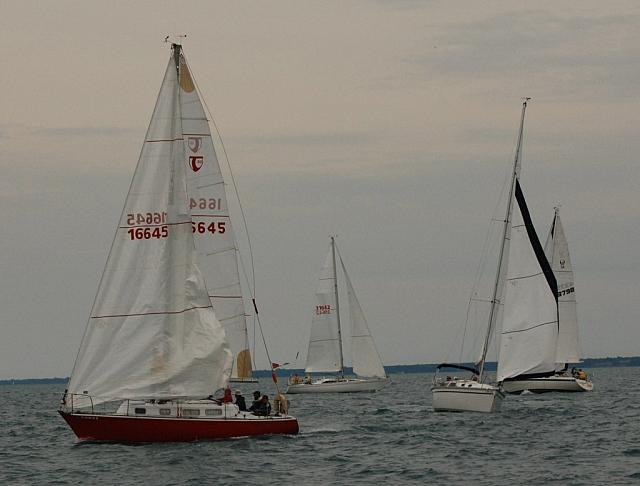 DSC_0203a