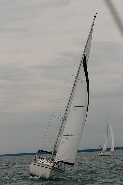 DSC_0219