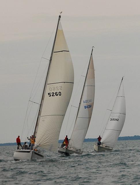 DSC_0268a