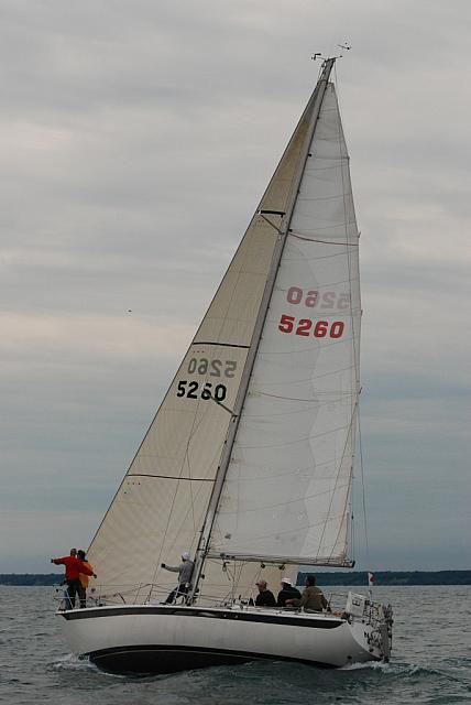 DSC_0335