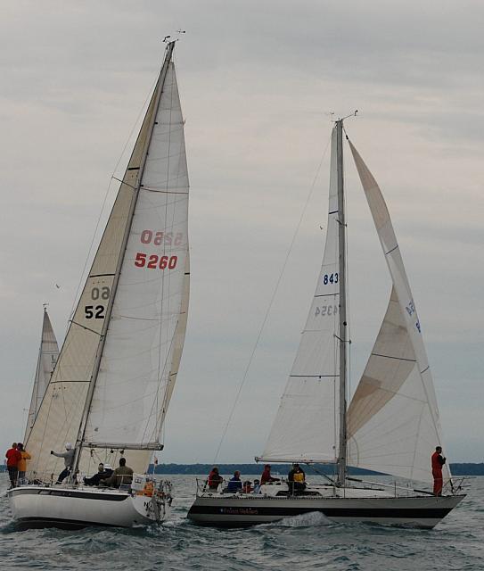 DSC_0337a