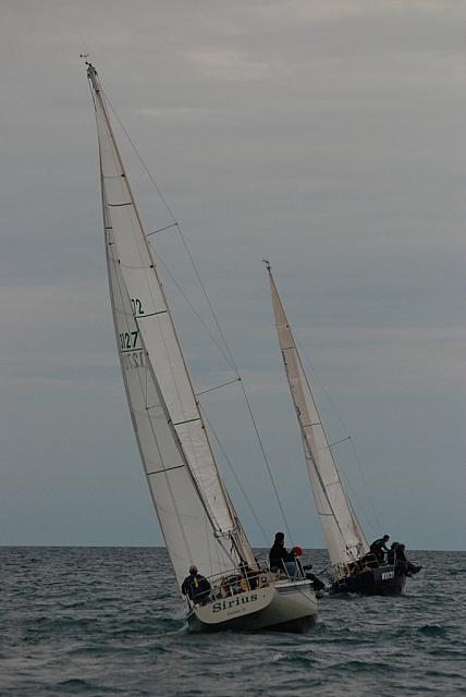 DSC_0365
