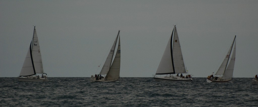 DSC_0367a