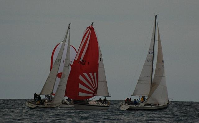 DSC_0378a