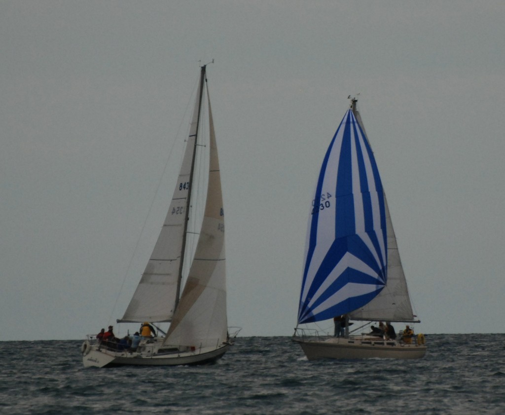 DSC_0379a