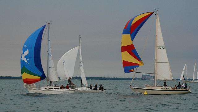 DSC_0517a