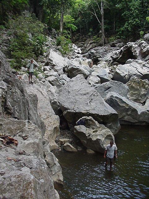 F) Sander at the head of the river.jpg