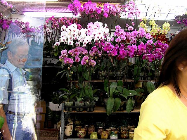 The Flower Market 02.JPG