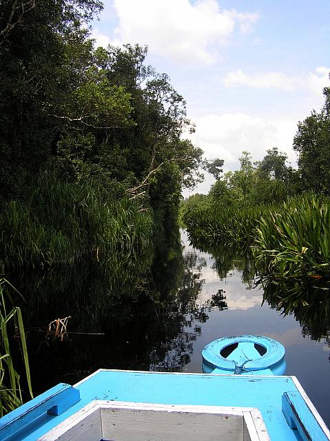 D) The peaceful river.jpg