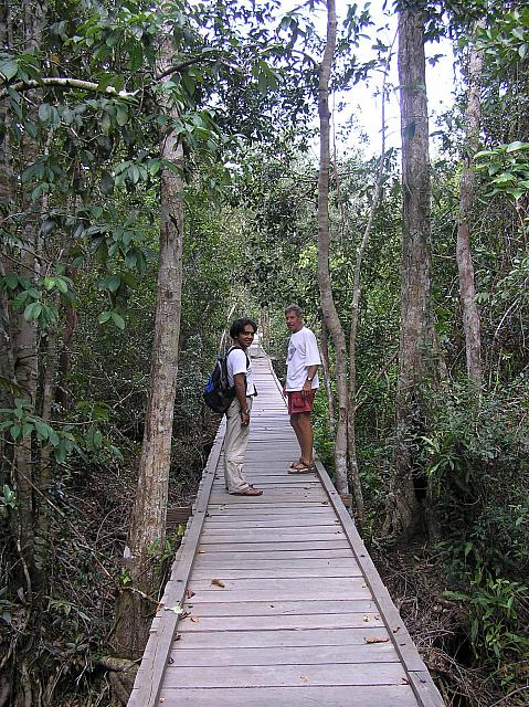 E) Boardwalk to Camp Leakey.jpg