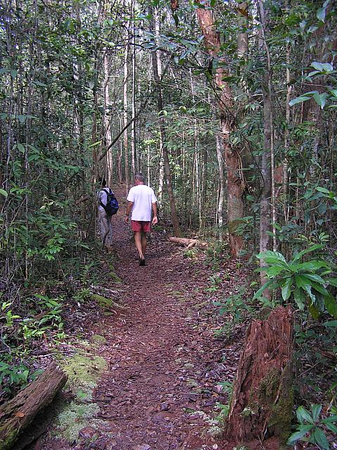 I) Path to the Lokasi feeding station.jpg