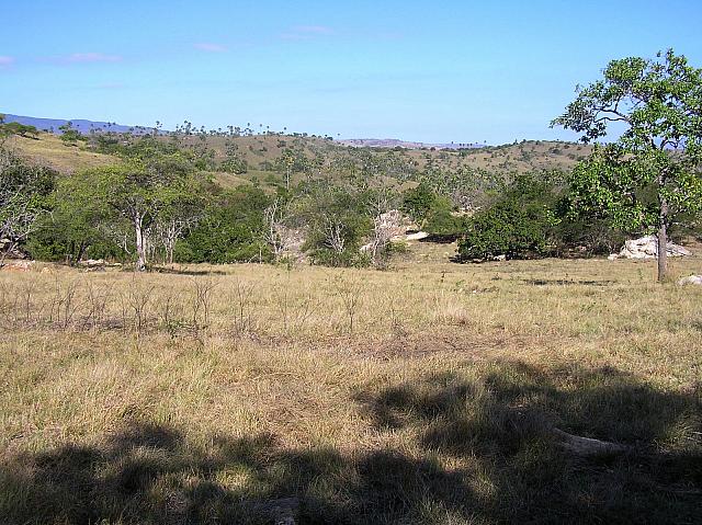 G) landscape at the park.jpg