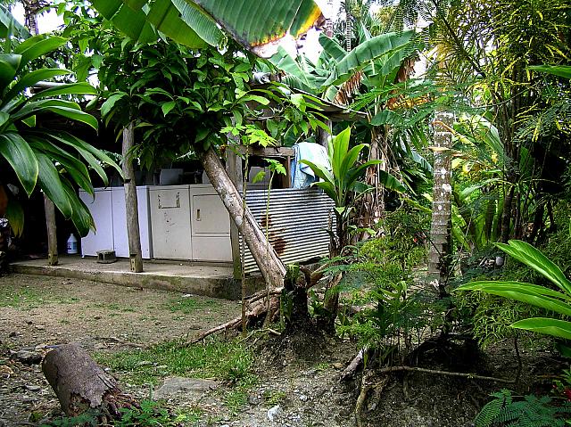 Kaday Jungle Laundromat.jpg