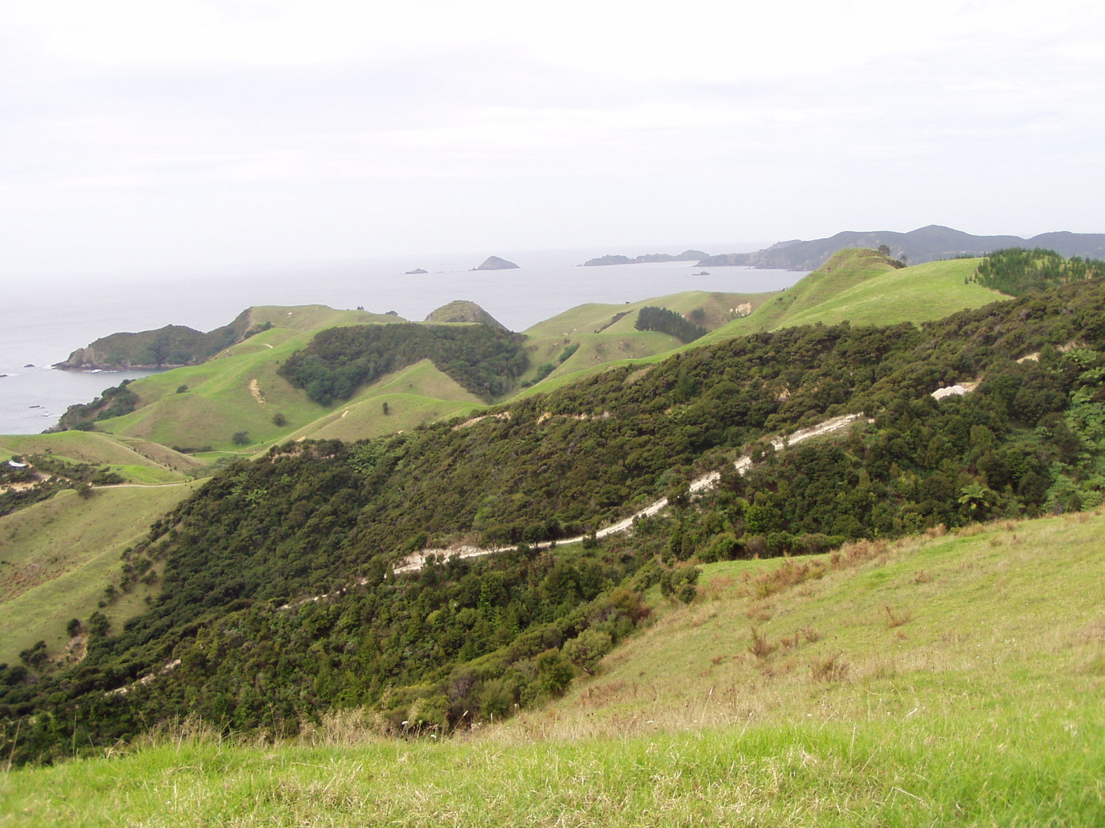 Northland Coast 1.jpg