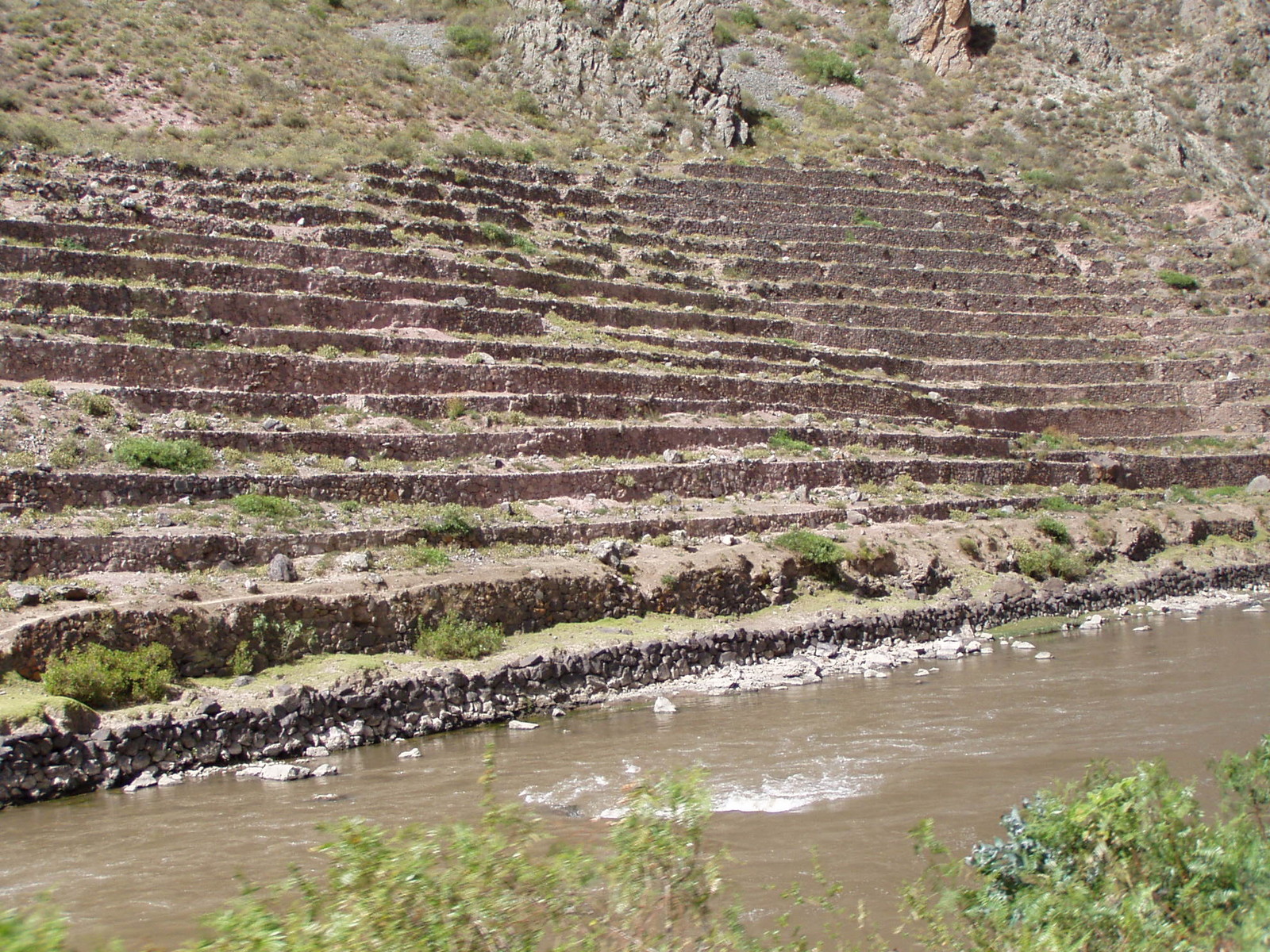 Train-Inca Terraces.JPG