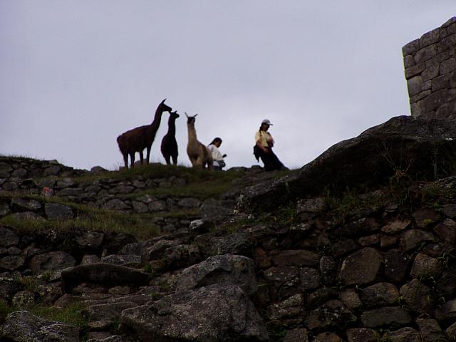 Machu Picchu 06.JPG