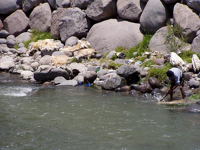 Curing Hides in the river.jpg