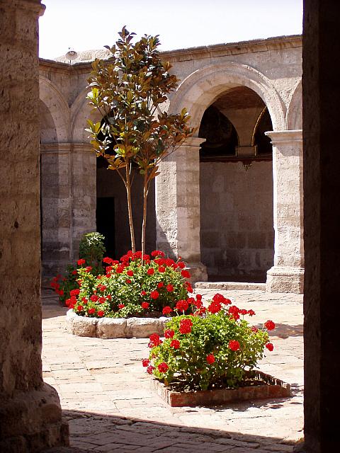 Orange Tree Cloister.jpg