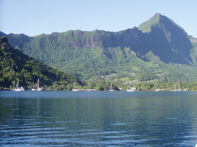 Cook's Bay.jpg
