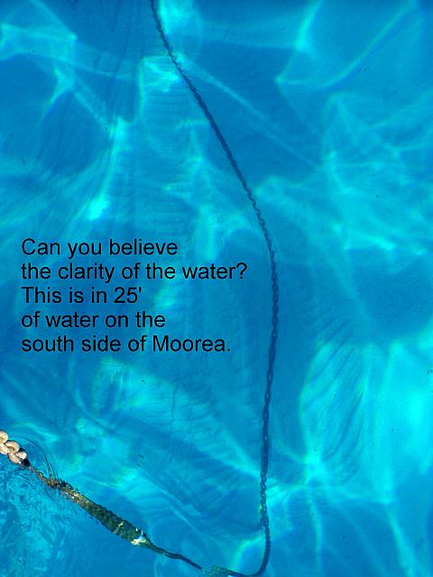 Water clarity.jpg