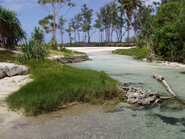 Vanuatu, Efate 009.jpg