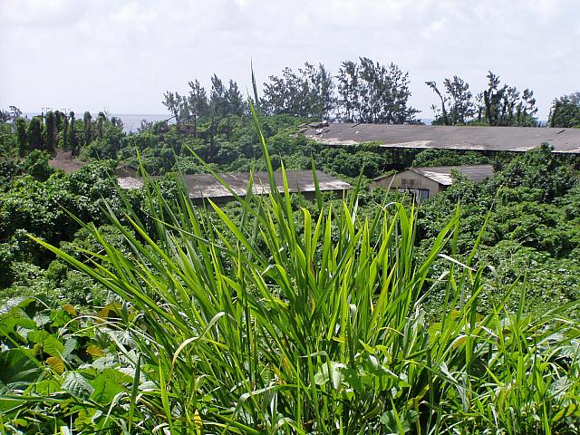 Vanuatu, Efate 011.jpg