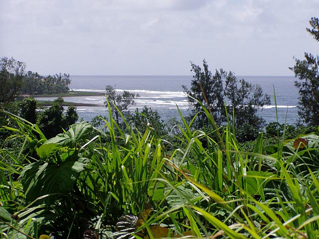 Vanuatu, Efate 012.jpg