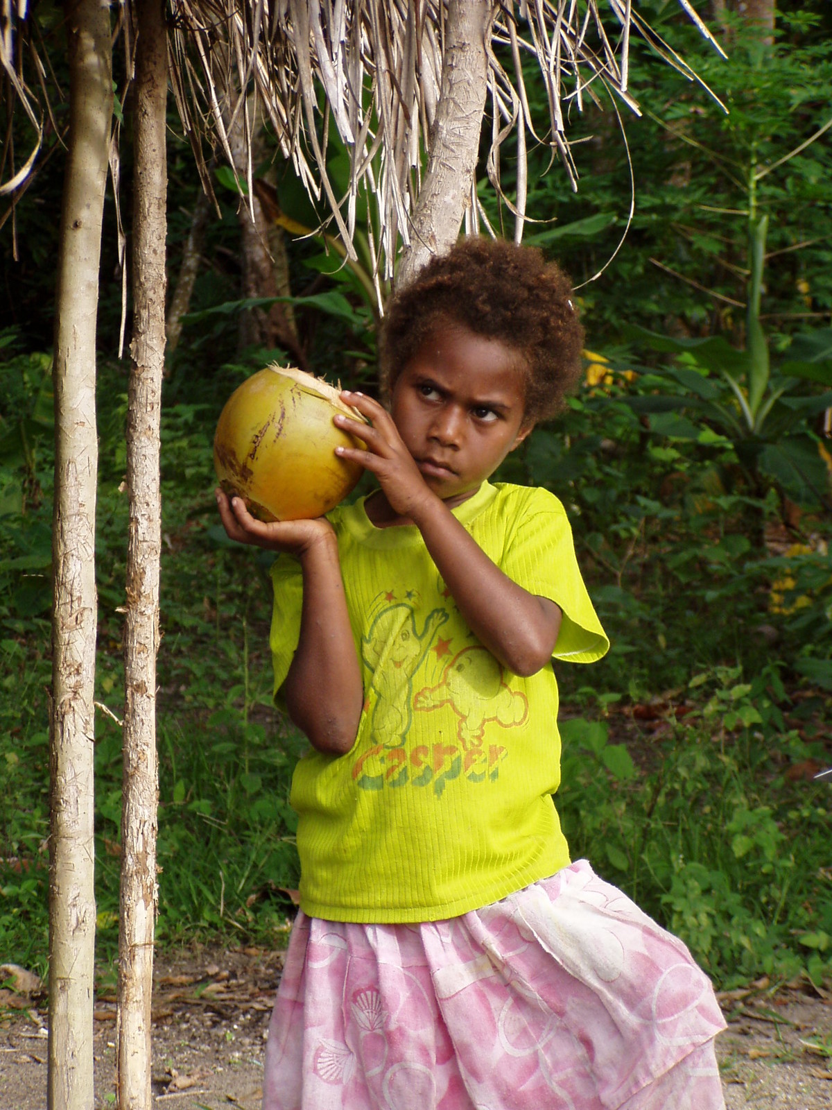 Vanuatu, Efate 024.jpg