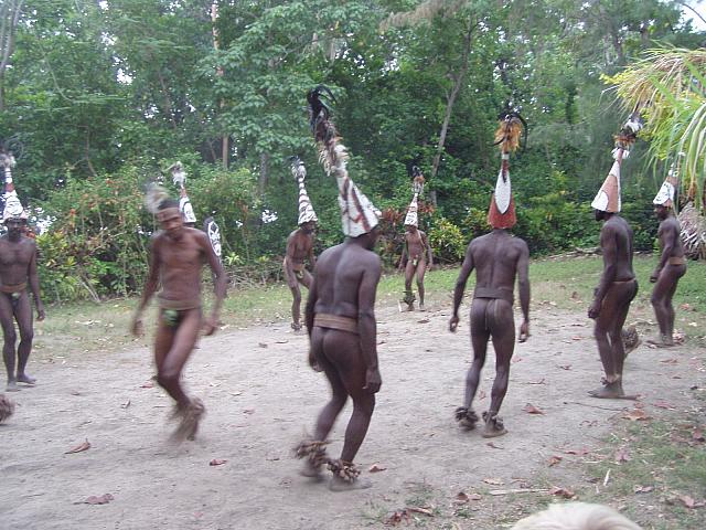 Malekula Island, Vanuatu 007.jpg