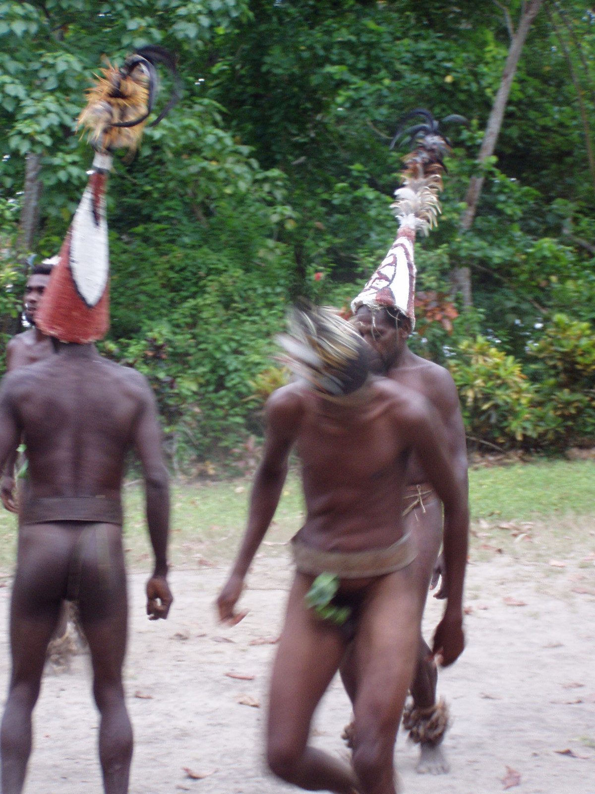 Malekula Island, Vanuatu 009.jpg