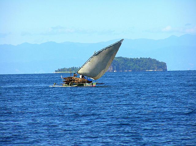 D) Lumber boat