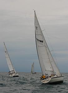 DSC_0236a