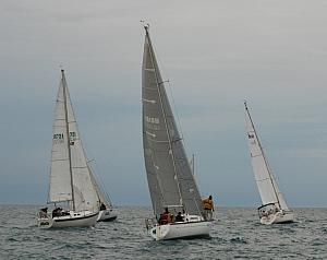 DSC_0240a