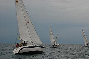 DSC_0246