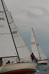 DSC_0293