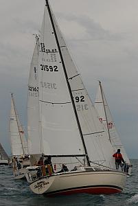 DSC_0295