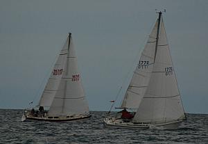 DSC_0340a