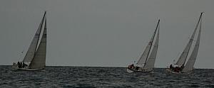 DSC_0369a