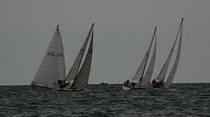 DSC_0372a