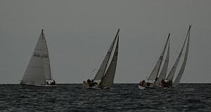 DSC_0373a