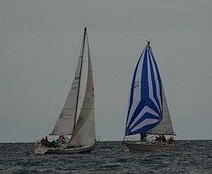 DSC_0379a