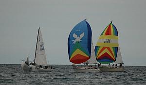 DSC_0391a