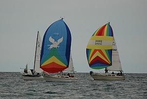 DSC_0397a