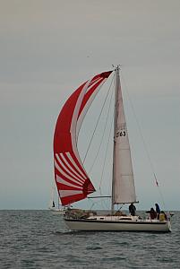 DSC_0398
