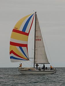 DSC_0410a