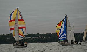 DSC_0429a