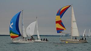 DSC_0517a