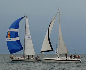 DSC_0519a