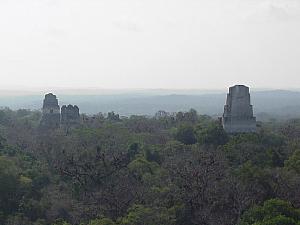 Tikal-006.jpg