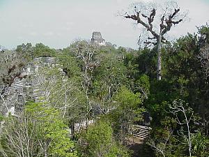 Tikal-010.jpg